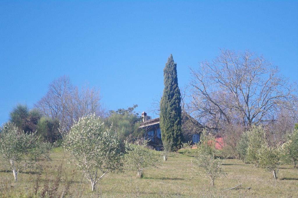 فيلا La Casa Sopra Le Nuvole Medesano المظهر الخارجي الصورة